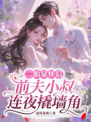 二胎显怀后,前夫小叔连夜撬墙角全文免费阅读